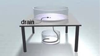 A cylinder with a hose (which hangs down into a pail of water) sitting on a table.