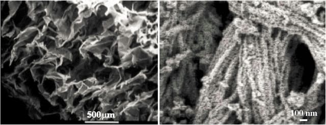 Two black and white images: the left image features a porous collagen-glycosaminoglycan sponge-like scaffold, while the right image shows a natural bone mineral scaffold.