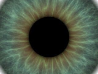 A close-up image of a human iris.