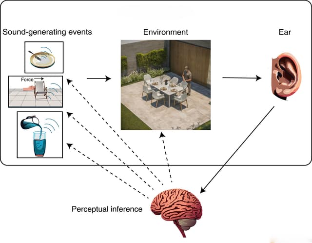 Diagram illustrating auditory perception: three sound-generating events (fork hitting plate, chair scraping, liquid pouring) transmit through an outdoor environment to the ear, with the brain performing perceptual inference to interpret both the direct sounds and their environmental context.