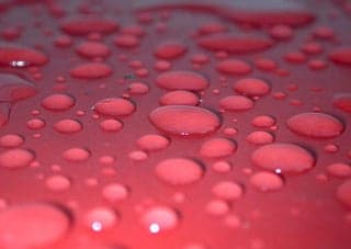 Water beading on a waxed surface.
