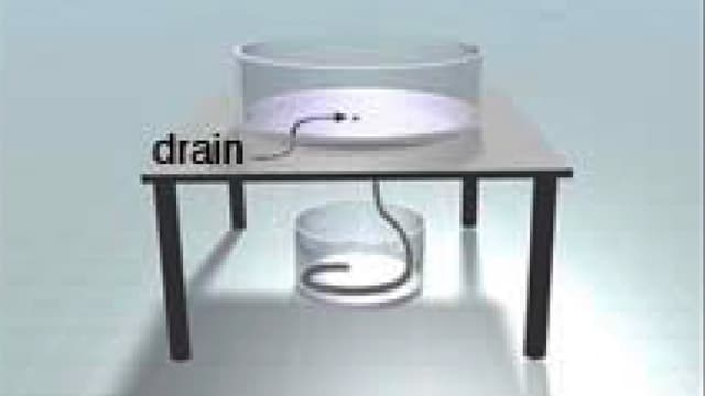 A cylinder with a hose (which hangs down into a pail of water) sitting on a table.