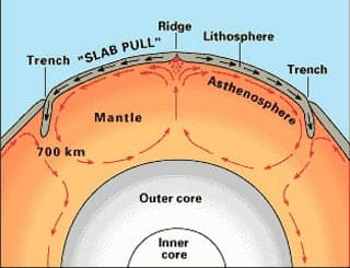 An illustration of the of how convections in the Earth's crust drive plate tectonics.