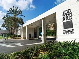 A concrete structure supported by small pillars and flanked by palm trees.