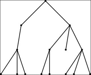 A branching Galton-Watson tree.