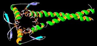 Schematic of protein folding.
