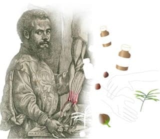 Illustration of a man dissecting a human arm. Clip art drug bottles and herbs float in the air.
