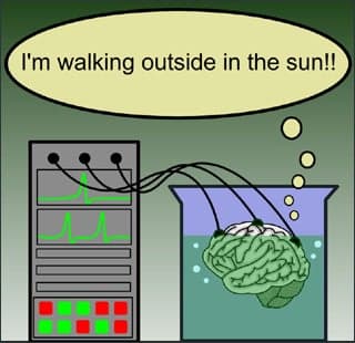 In a vat, a brain floating in liquid is connected to a computer. A thought bubble above the brain reads "I'm walking outside in the sun!!"