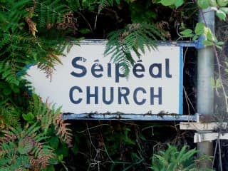 A road sign on a wall, surrounded by ivy, with text that reads both "Séipéal" and "Church"