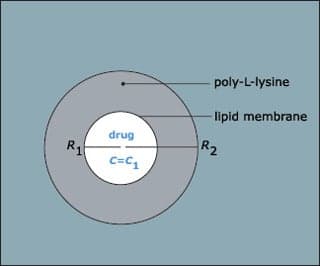 A circular diagram.
