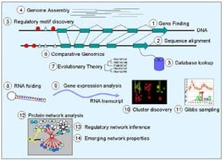 Challenges in Computational Biology