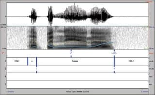 Screenshot from one of the simulations used in the course.