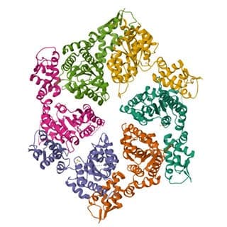 a multi-colored ribbon drawing of the six different subunits in ClpX that form a hexamer ring with an open pore at the center.
