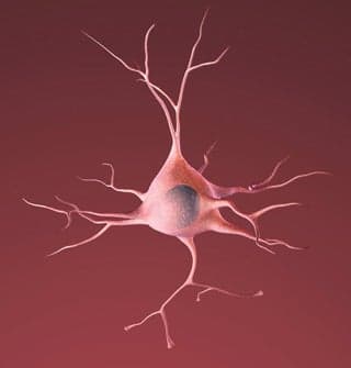 an illustration of a nerve cell, shaped like an irregular circle with tendrils shooting out on all sides like lightning bolts.