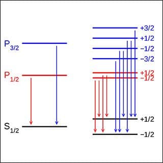 Two sets of horizontal and vertical lines with labels next to the horizontal lines and arrows at the bottom ends of the vertical lines.
