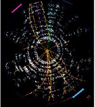 Concentric cirlces on a dark field. Strands of color eminate from the center.