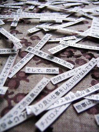 Strips of paper scattered on fabric contain printed comments from a Japanese blog.
