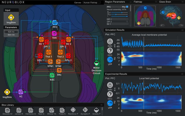 Comuper screenshot displaying a complex neurosimulation software program with multiple panels, graphs and heat maps display simulation results.
