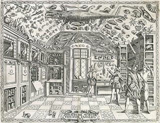 A black and white image depicting 4 men in Shakespearan garb looking at natural history objects in a museum.